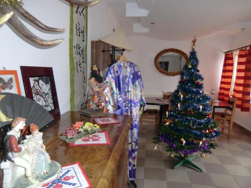 Pension Casa Samurai Braşov Exterior foto